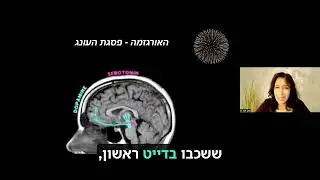 הדרך לאהבה עוברת במוח  - להבין את המוח הנשי והגברי