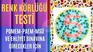 Renk Körlüğü Testi - Sınava Girmeden Önce Kendinizi Test Edin