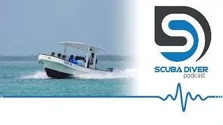Teen Loses Leg After Shark Bite #scuba #news #podcast