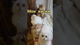 Был пацан и нет пацана🤣 