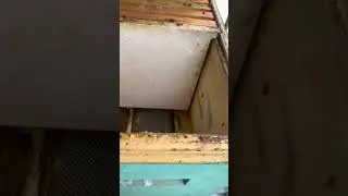 Нижний ярус с открытым дном сидят отлично!