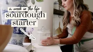 5 Ways I Use Sourdough Starter! How I Feed It (The Easy Way) + Recipes | Becca Bristow MA, RD
