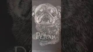Scratchart - Petit Petunia