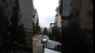 Апельсины айдын