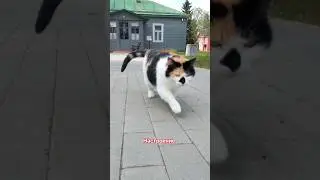 Весенние путешествия
