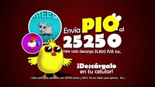 Promo El Pollito Pio