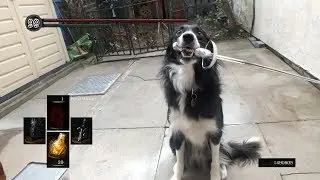 Bork souls compilation v3
