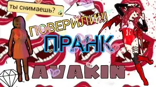ПРАНК//Avakin Life//Я Настя Плей