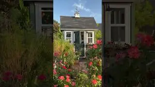 Evenings in the garden.. mama bird just had her baby #summer #backyard #garden #gardenhouse #texas