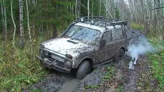 сафари 510 глина