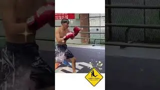 FAIRTEX, MUAY THAI