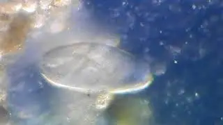 DSCN0175