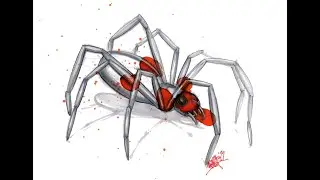 Spider IDSketch.