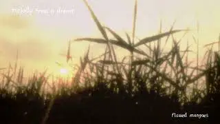 Flawed Mangoes - Melody From a Dream (Visualizer)