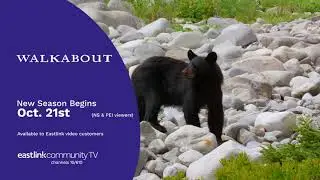 Walkabout Season 5 Coming Soon!