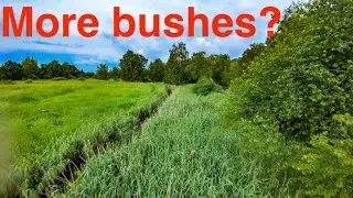 Avata bushflying 🌳🌳🌳