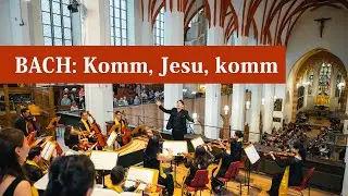 J.S. Bach Motet: Komm, Jesu, komm, BWV 229 (David Chin)