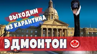 Орел и Решка - Неизданное. ВЫХОДИМ ИЗ КАРАНТИНА - ЭДМОНТОН, КАНАДА.