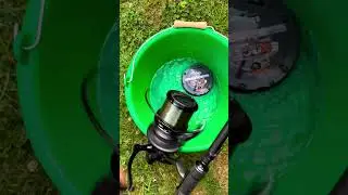 Fox 14000XC Reel for Carp Fishing 