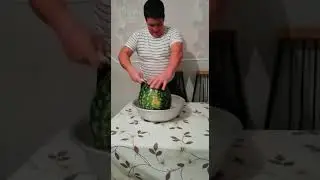 арбуз Русская березка 🍉