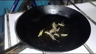 Приготовление кузнечиков на сковородке