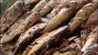 Домашние шпроты-простой рецепт,готовим дома