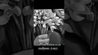 Всегда делай правильный выбор #зайчик #рекомендации #топ #тренды