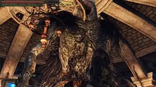 Dark Souls 2 Item and Enemy Randomizer is Very Buggy but Very Fun