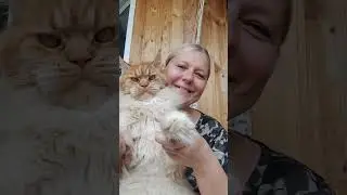 Семья кота Джокера.Улыбнитесь нам  с Тиффани в ответ.