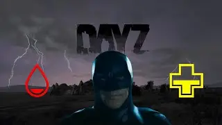 Protecting Batman in DayZ