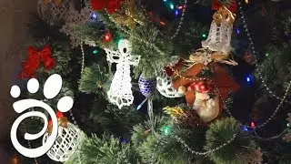 Новогоднее Настроение. Все О Домашних Животных