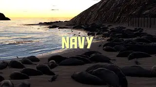 Gran Turismo 7 - Navy