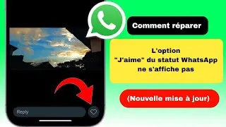 Mise à jour de l'option J'aime du statut WhatsApp | Comment résoudre le problème de non-affichage