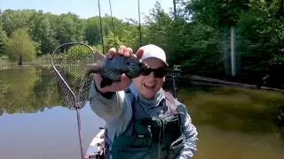 2019 YAK ATTACK Tournament | BLUEGILL Division WINNER