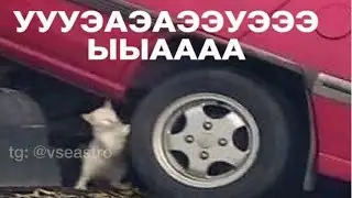 Оказывается дьяволы любят печеньки (ЭТО ПРОСТО ВИДЕО И АУ ВЕРСИЯ)