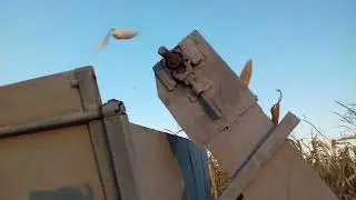 Випробовування в роботі саморобного кукурудзяного комбайна.
