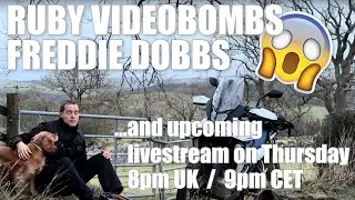 Economical Rides - YouTube Sensation Ruby 