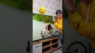 Ouch!.. फ़ैशन ही ख़राब कर दिया 🙈🤭 #funny #comedy #mostlyrajnideepak