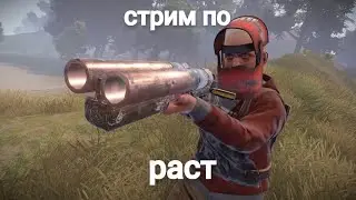 СТРИМ ПО РАСТУ\\ВОЮЕМ С НЕГРАМИ!!!