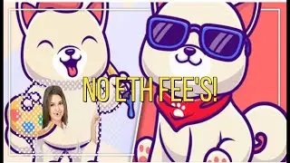 How To Buy Kishu Inu With No Fee's!