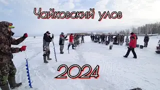 Чайковский Улов - 2024! Соревнования по ловле на блесну и мормышку.