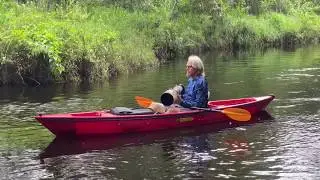Kayak for Bird Photography - Wildlife Photography From a Kayak???
