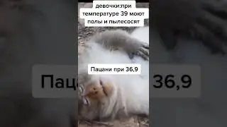 Неудобный момент: Пацаны при 36.9 🤒😅 