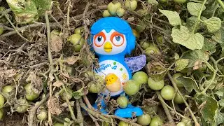 Dancing Penguin Toy || Musical or Lighting || Lighting Wale Khilone || Unboxing&Testing-surajrathee