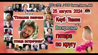 ГИТАРА ПО КРУГУ - Пташка певчая, птичка встречная - 25 августа 2024 г.