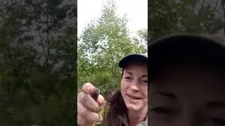ПОЧЕМУ НУЖНО ЖИТЬ, ЛЮБИТЬ, ТВОРИТЬ СЕГОДНЯ.