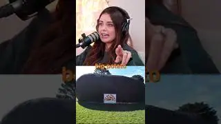 Why Does This Exist In Australia? 😂