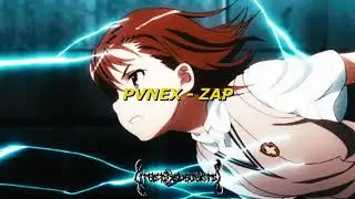 PVNEX - ZAP