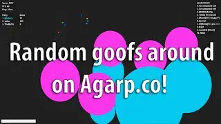 Random goofs around on Agarp.co!