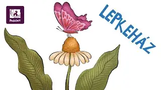 Czernák Eszter: Lepkeház (Boldog szülinapot, elefánt!)